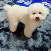 opopop_