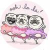 Pugdashians