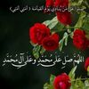 user29216731