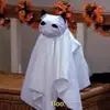 slinkydogg