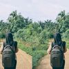 riskasintiadewi_
