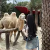 ____beoo