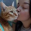 kittenattacksyou