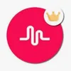 Musical.ly muser