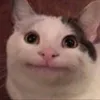 helloooooooooooooeeee