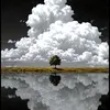 mehrab..11
