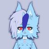 colgateminuette