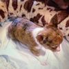 user820104868