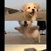 hanbaoquancr7