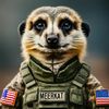 meerkat1543