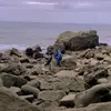 arrul_1