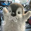 yumivetot