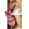 snow_cees