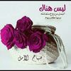 ummfaisalalanzi4