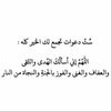 user491877697