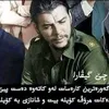 daryasorandll1