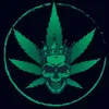 royalgreencbd