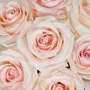 barbslovelycreations