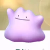 ____ditto____