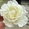 fathima3168