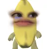 _anisonice_