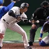 chicken_nanban10