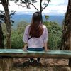 phueng2713