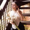 tb2707.trangbong