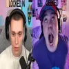 adoginsocks