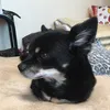 nannokoto0