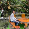 huynhbao.03