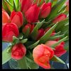 mihrimah_noursaphirre