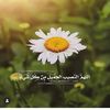 ebtsam_12