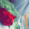 user011944121