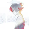 void.kiwix