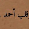 user6560889217697