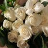 fatimamohamed989
