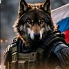 ✌️ Wolf 🇷🇺