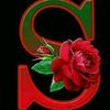 ashrafmiya3111