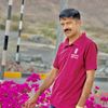 tanveerahmad4964