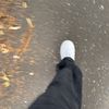 faris_7q