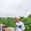 ecalcarlo