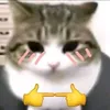 dtdgchhv