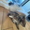 jay_483_