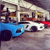 alaaferrari