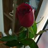 usera24saild3l