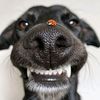 skintmercury777