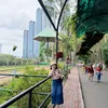 ThuHằng😍🇻🇳