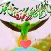 aymanloobanee18151465