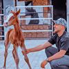 fahadnawaf05
